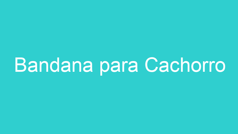 Bandana para Cachorro