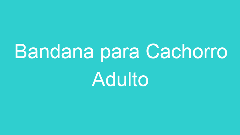 Bandana para Cachorro Adulto