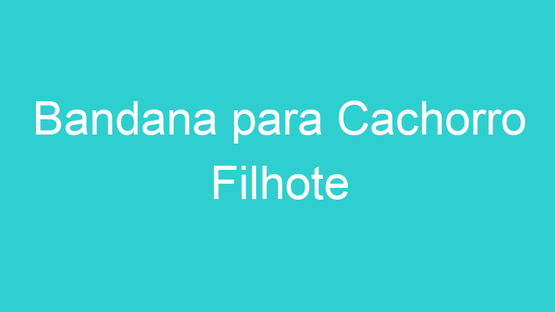 Bandana para Cachorro Filhote