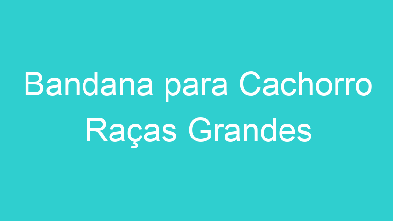 Bandana para Cachorro Raças Grandes