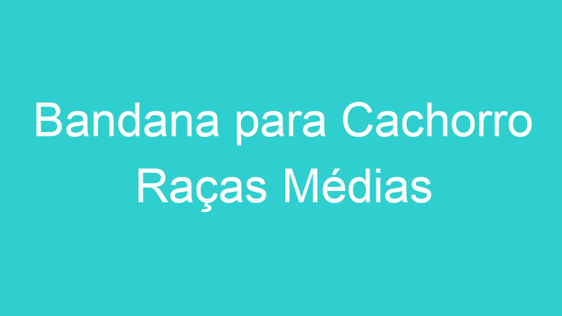Bandana para Cachorro Raças Médias