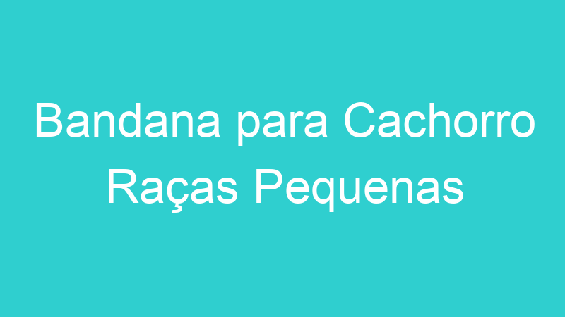 Bandana para Cachorro Raças Pequenas
