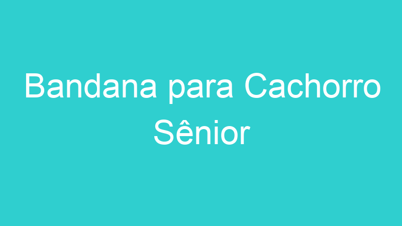 Bandana para Cachorro Sênior