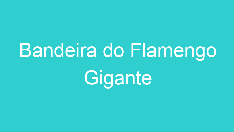 Bandeira do Flamengo Gigante