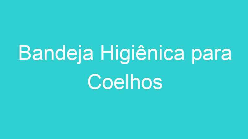 Bandeja Higiênica para Coelhos
