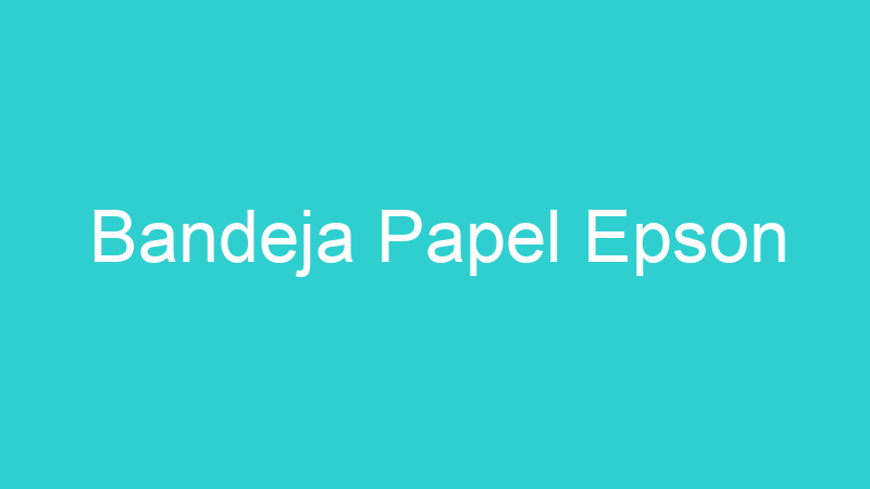Bandeja Papel Epson