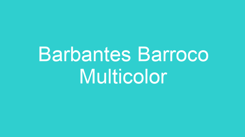 Barbantes Barroco Multicolor