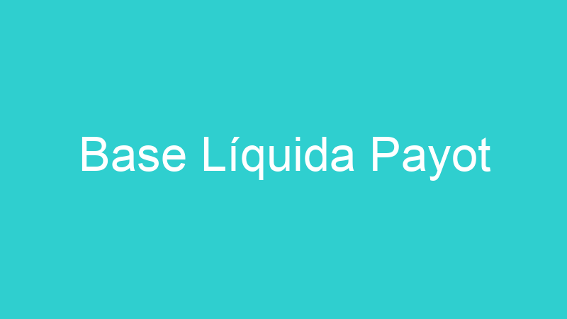 Base Líquida Payot