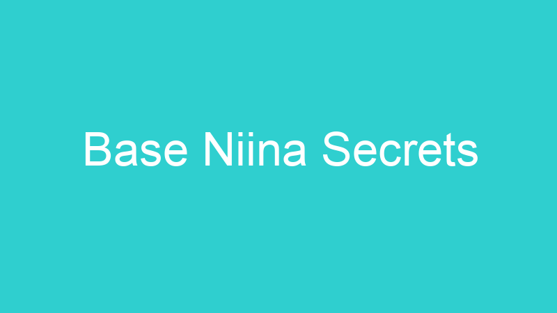 Base Niina Secrets