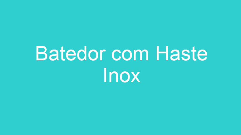 Batedor com Haste Inox