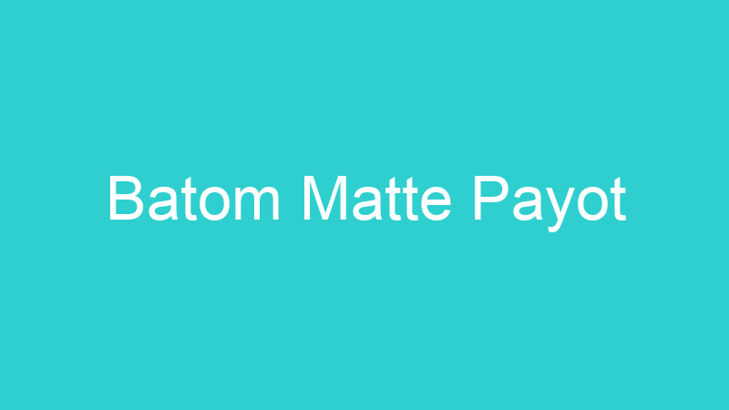 Batom Matte Payot