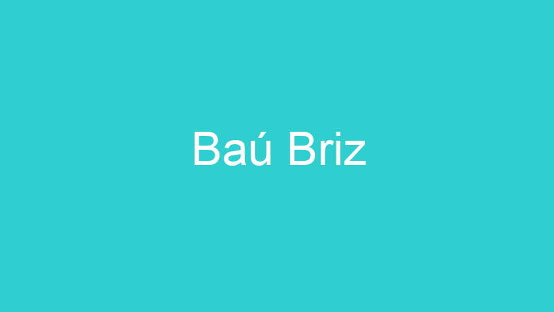 Baú Briz