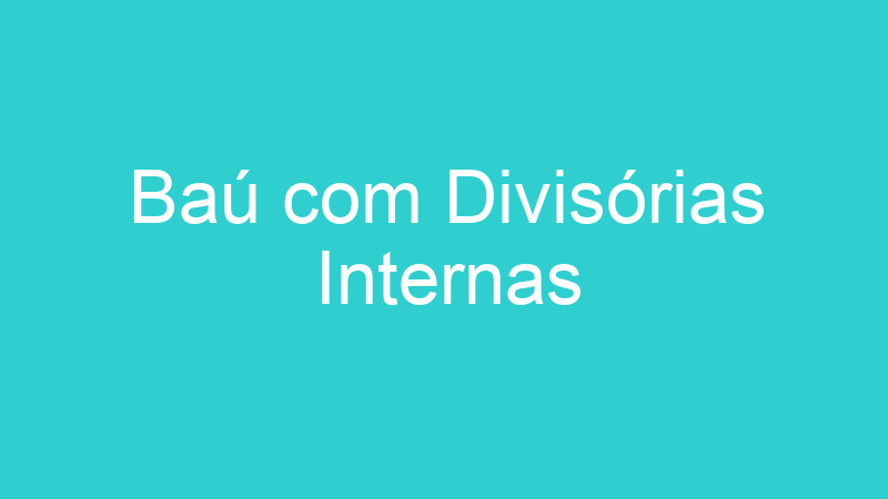 Baú com Divisórias Internas