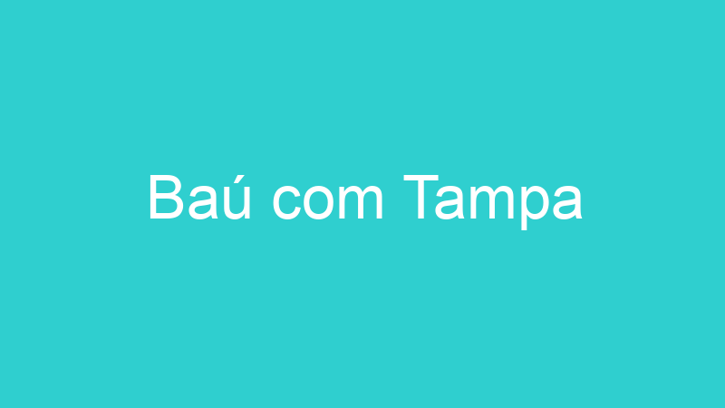 Baú com Tampa