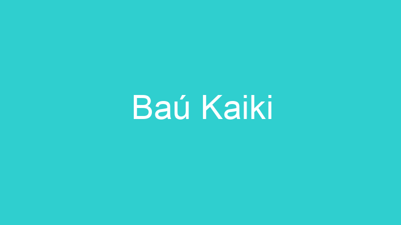 Baú Kaiki