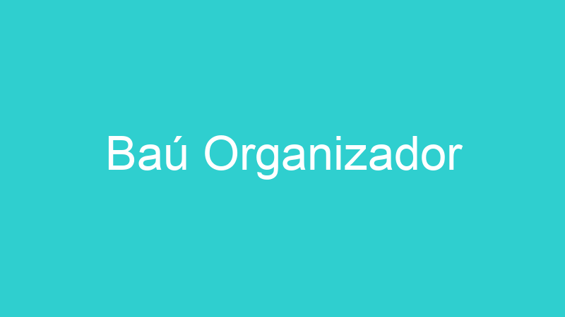 Baú Organizador