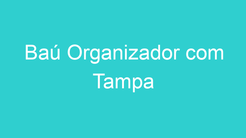 Baú Organizador com Tampa