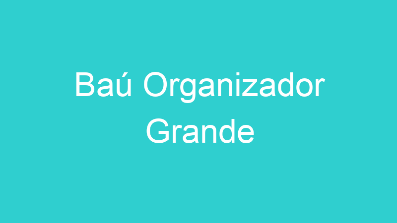 Baú Organizador Grande