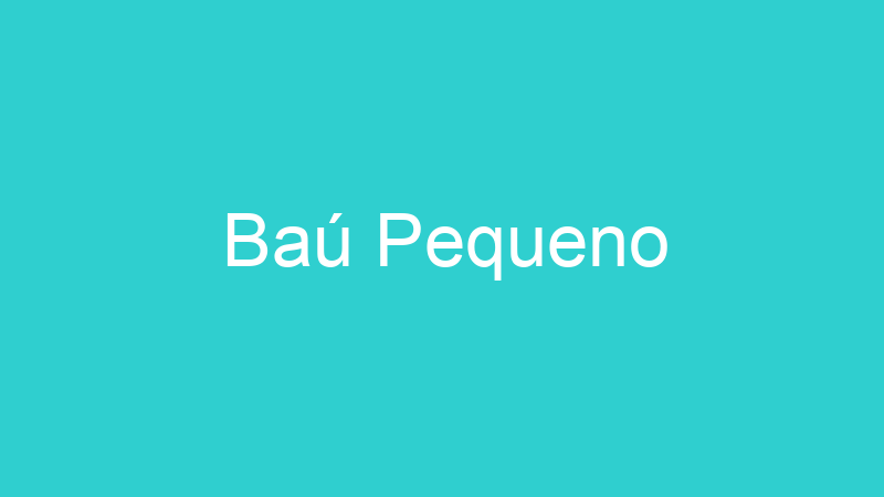 Baú Pequeno