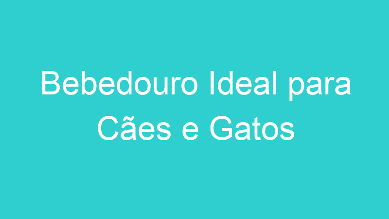 Bebedouro Ideal para Cães e Gatos