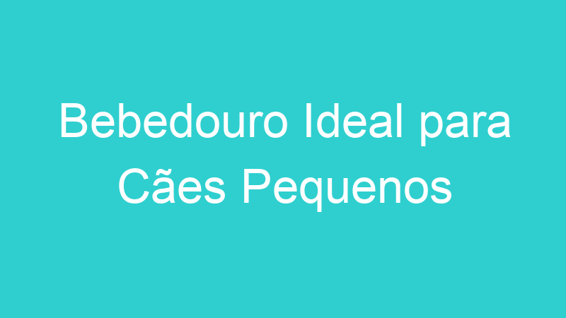 Bebedouro Ideal para Cães Pequenos