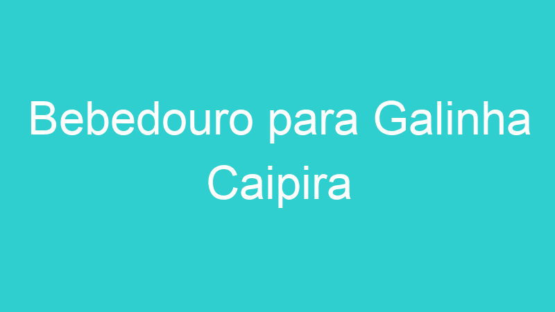 Bebedouro para Galinha Caipira