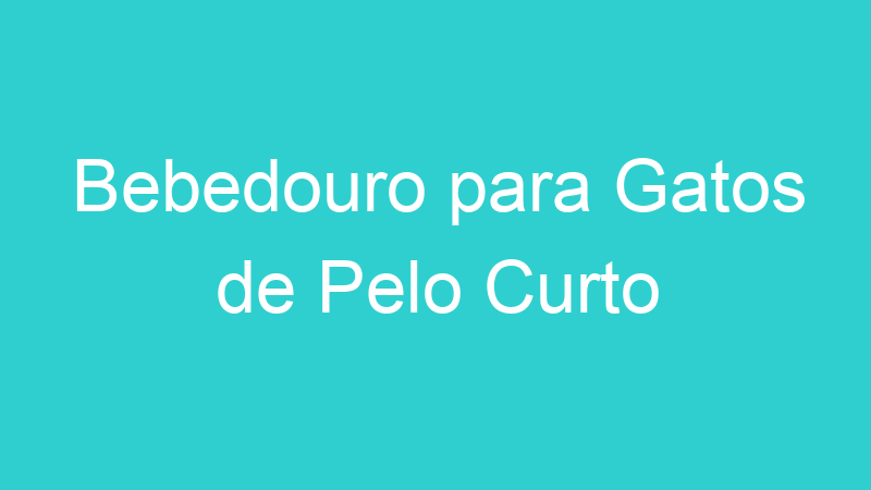 Bebedouro para Gatos de Pelo Curto