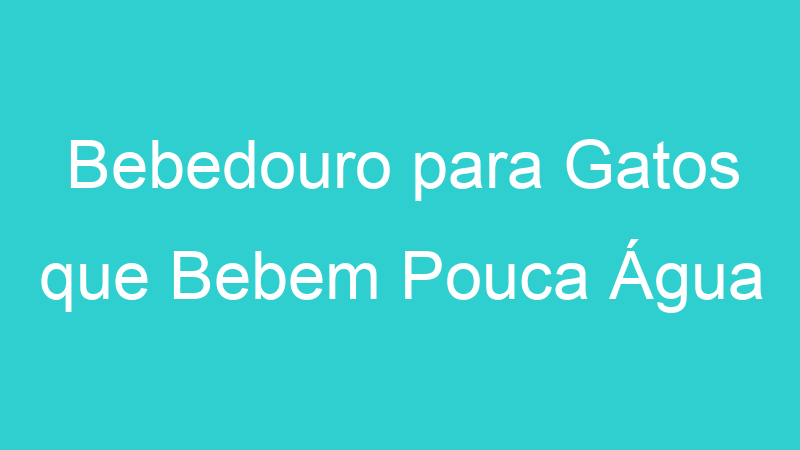 Bebedouro para Gatos que Bebem Pouca Água