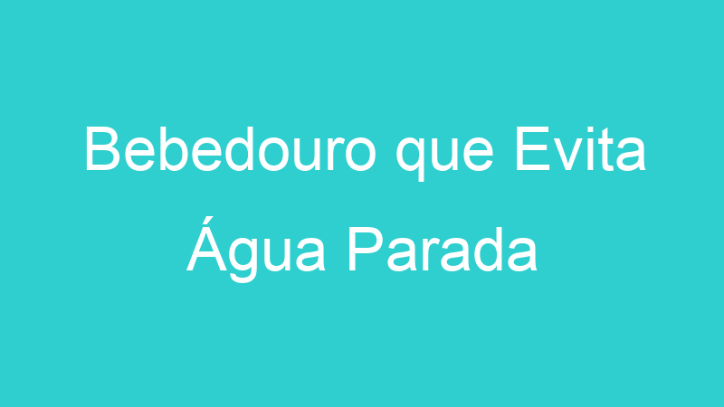 Bebedouro que Evita Água Parada