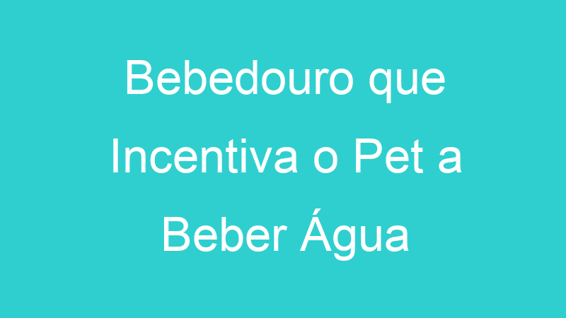 Bebedouro que Incentiva o Pet a Beber Água