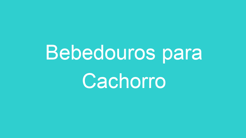 Bebedouros para Cachorro