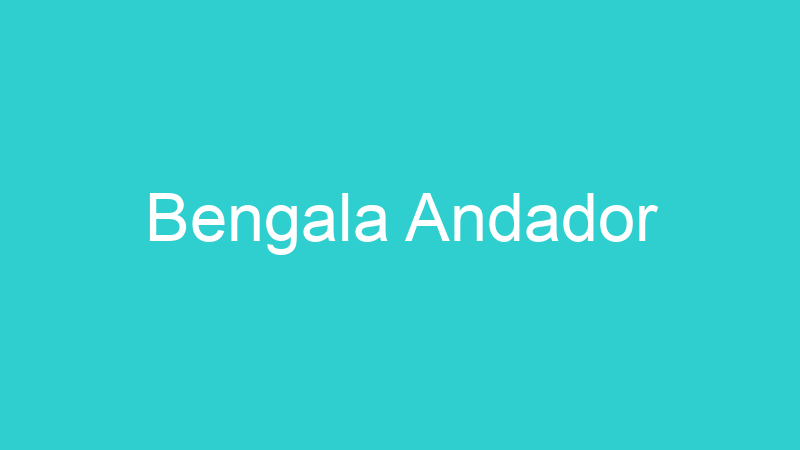Bengala Andador