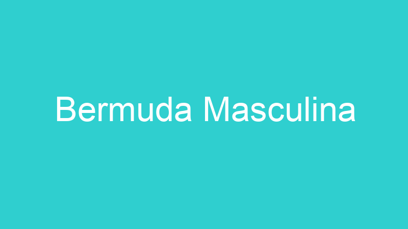 Bermuda Masculina