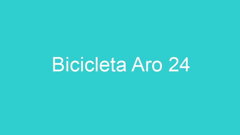 Bicicleta Aro 24
