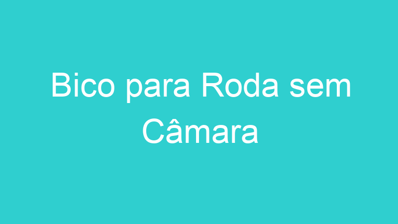 Bico para Roda sem Câmara