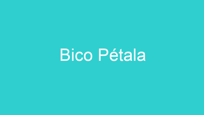 Bico Pétala