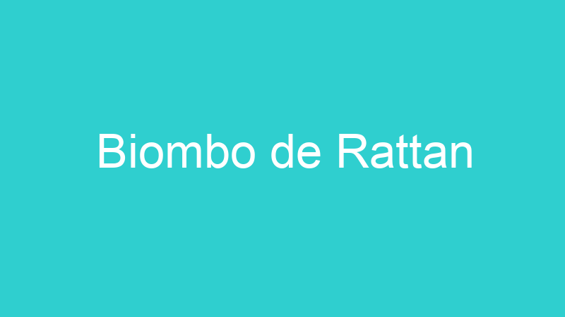 Biombo de Rattan