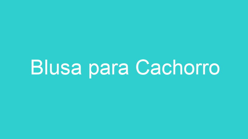 Blusa para Cachorro