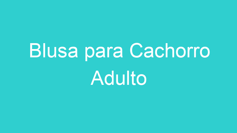 Blusa para Cachorro Adulto