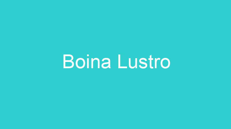 Boina Lustro