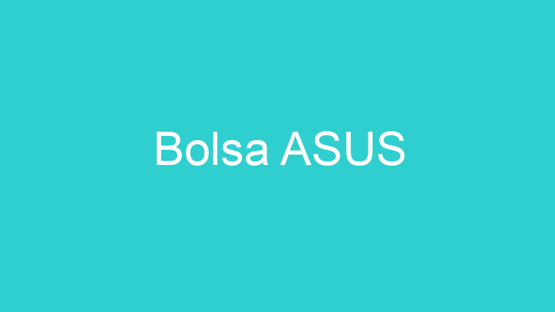 Bolsa ASUS