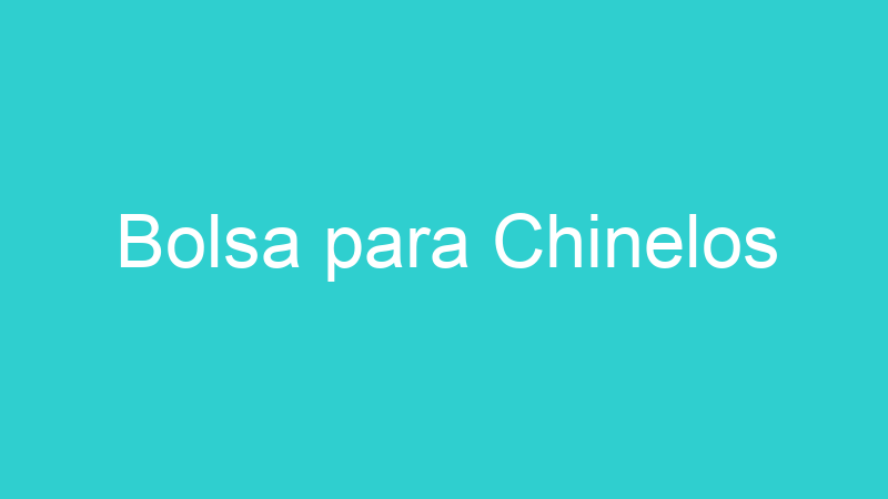 Bolsa para Chinelos