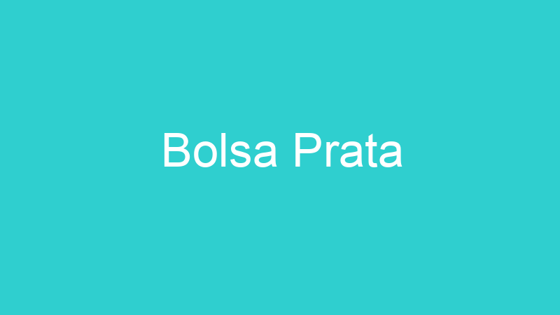 Bolsa Prata