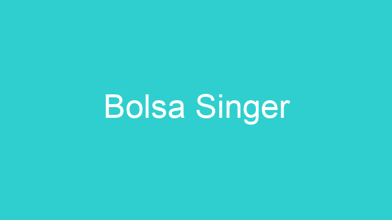 Bolsa Singer