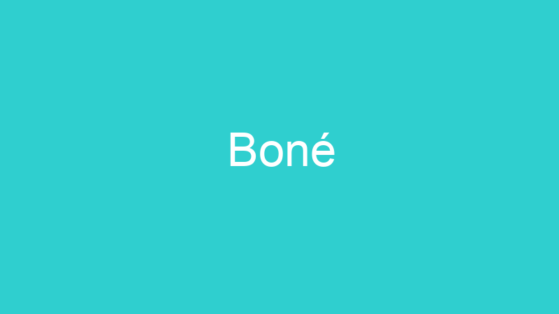 Boné