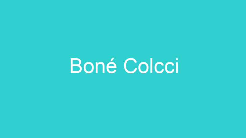 Boné Colcci