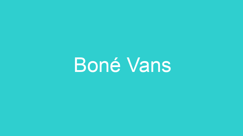Boné Vans