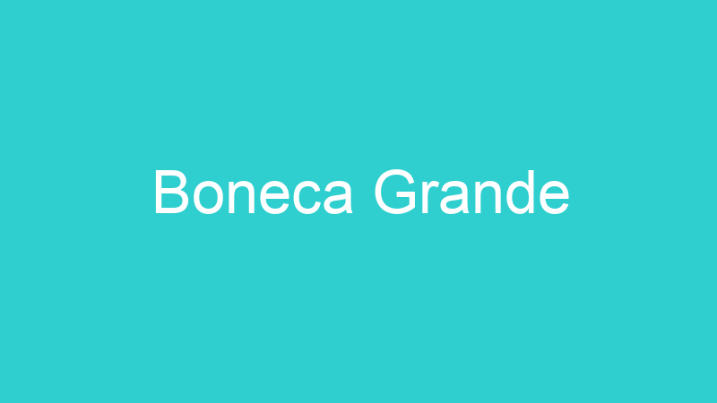 Boneca Grande