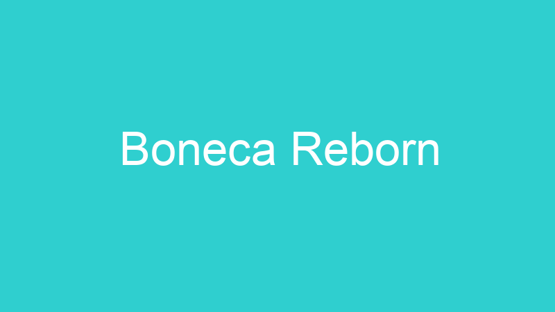 Boneca Reborn