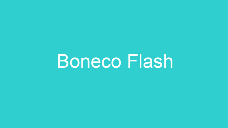 Boneco Flash